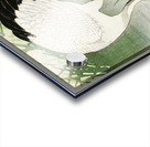 Praying mantis 1900 - 1936 by Ohara Koson 1877-1945. Acrylic print