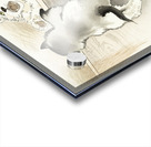 Two playing dogs 1900 - 1930 by Ohara Koson 1877-1945. Acrylic print