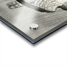 Cuckoo in storm 1925 - 1936 by Ohara Koson 1877-1945. Acrylic print