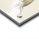 Couple of deers 1900 - 1930 by Ohara Koson 1877-1945. Acrylic print