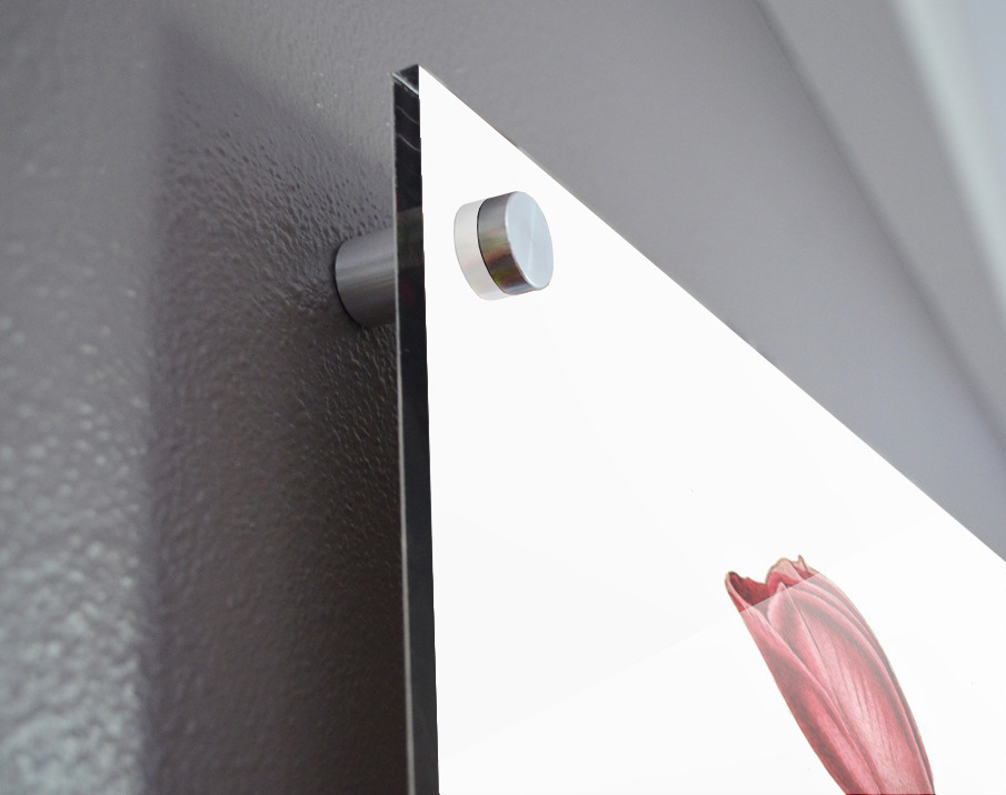 Dr. Gillies purslane from Edwards Botanical Register 1829-1847  by Sydenham Edwards John Lindley and James Ridgway. Acrylic print of