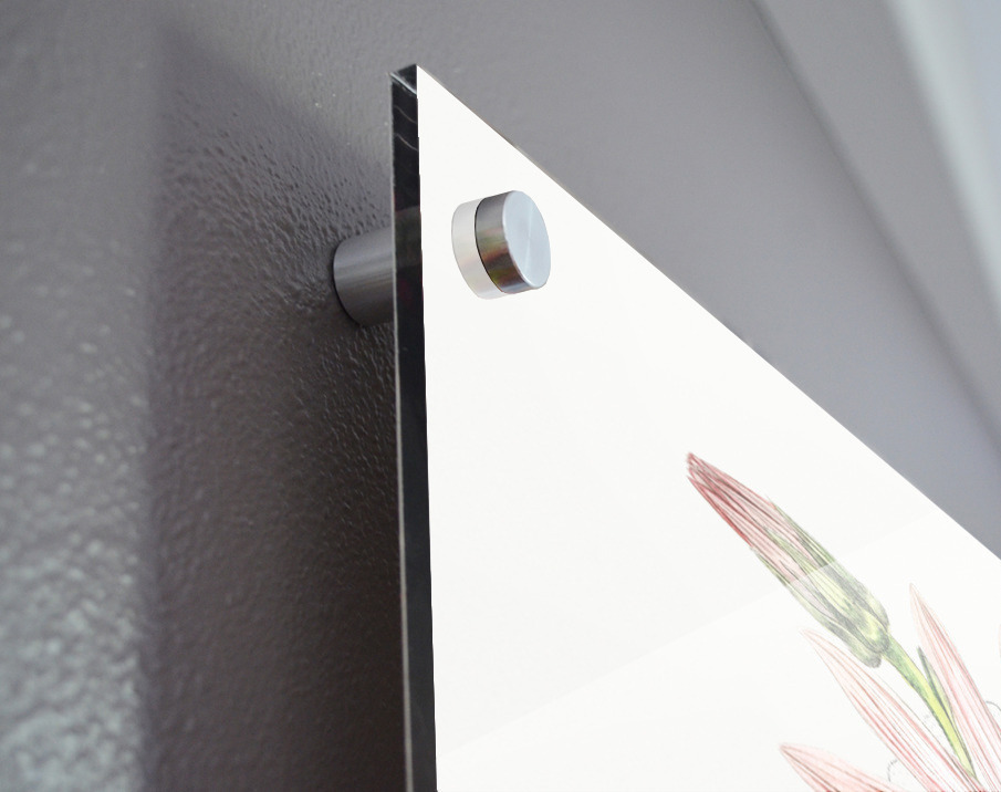 Mr. Dicksons echinacea from Edwards Botanical Register 1829-1847  by Sydenham Edwards John Lindley and James Ridgway. Acrylic print of