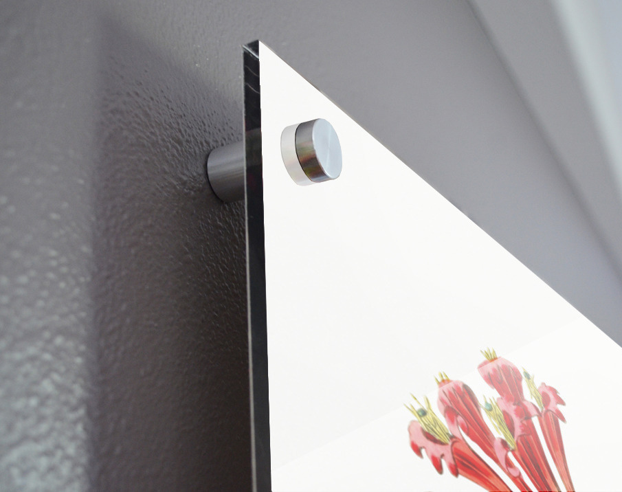 The north-west honeysuckle from Edwards Botanical Register 1829-1847  by Sydenham Edwards John Lindley and James Ridgway. Acrylic print of