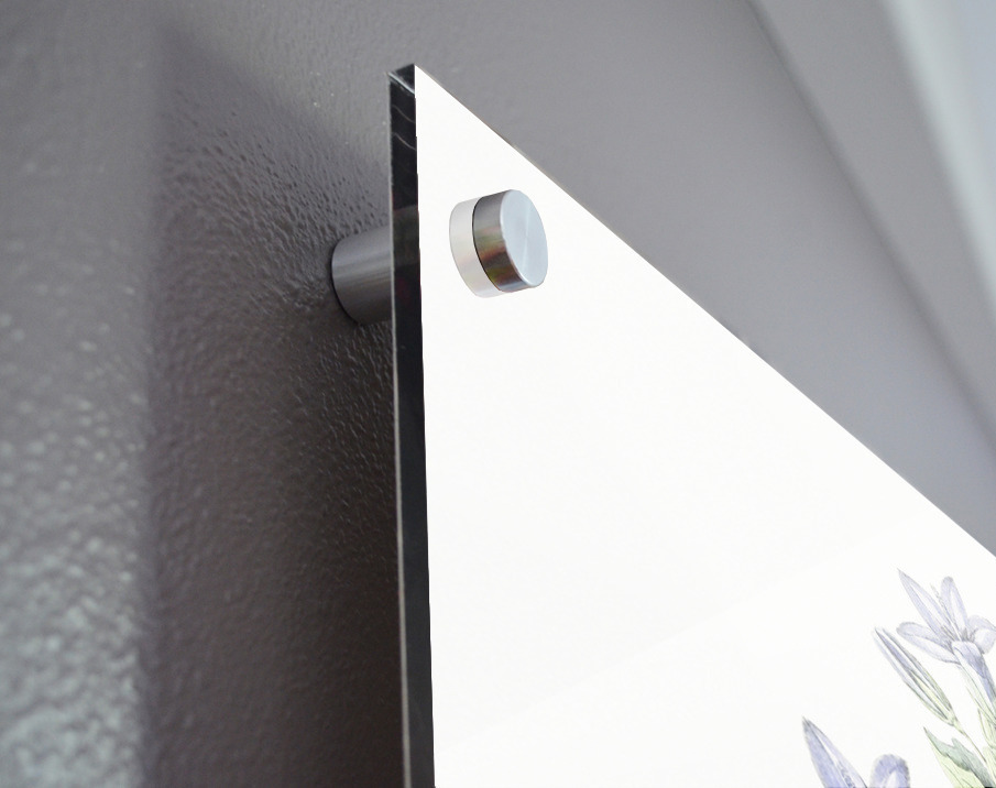 Dalmatian wall campanula flower from Edwards Botanical Register 1829-1847  by Sydenham Edwards John Lindley and James Ridgway. Impression acrylique de