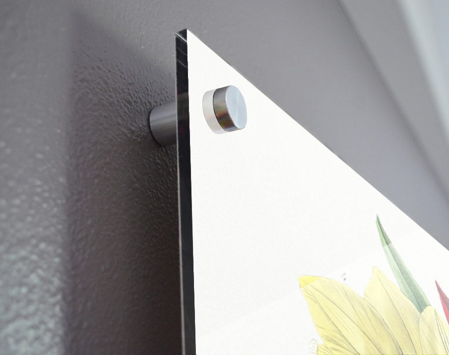 Rough stemmed tulip from Edwards Botanical Register 1829-1847  by Sydenham Edwards John Lindley and James Ridgway. Acrylic print of