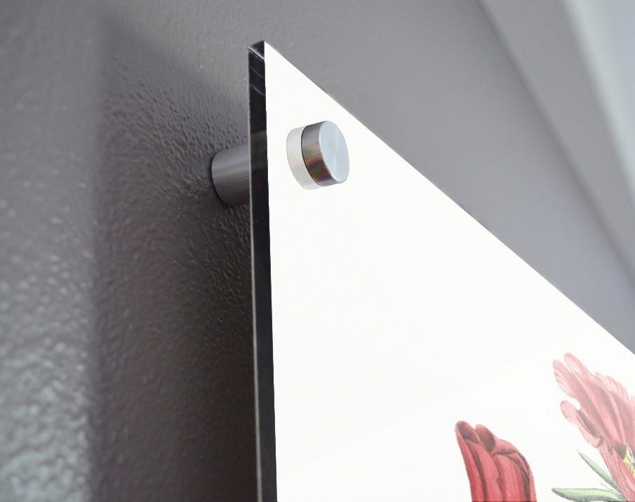 Portulaca splendens from Edwards Botanical Register 1829-1847  by Sydenham Edwards John Lindley and James Ridgway. Acrylic print of