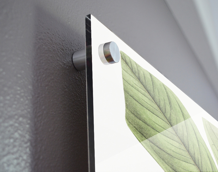 Large-leaved tristania from Edwards Botanical Register 1829-1847  by Sydenham Edwards John Lindley and James Ridgway. Acrylic print of