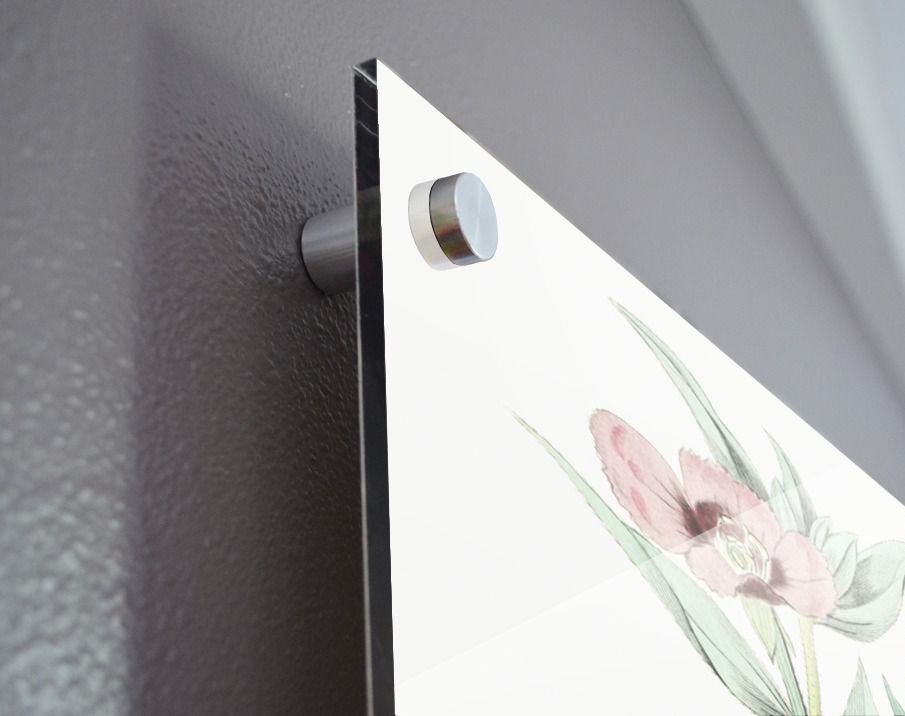 Long Branched Enothera from Edwards Botanical Register 1829-1847  by Sydenham Edwards John Lindley and James Ridgway. Acrylic print of