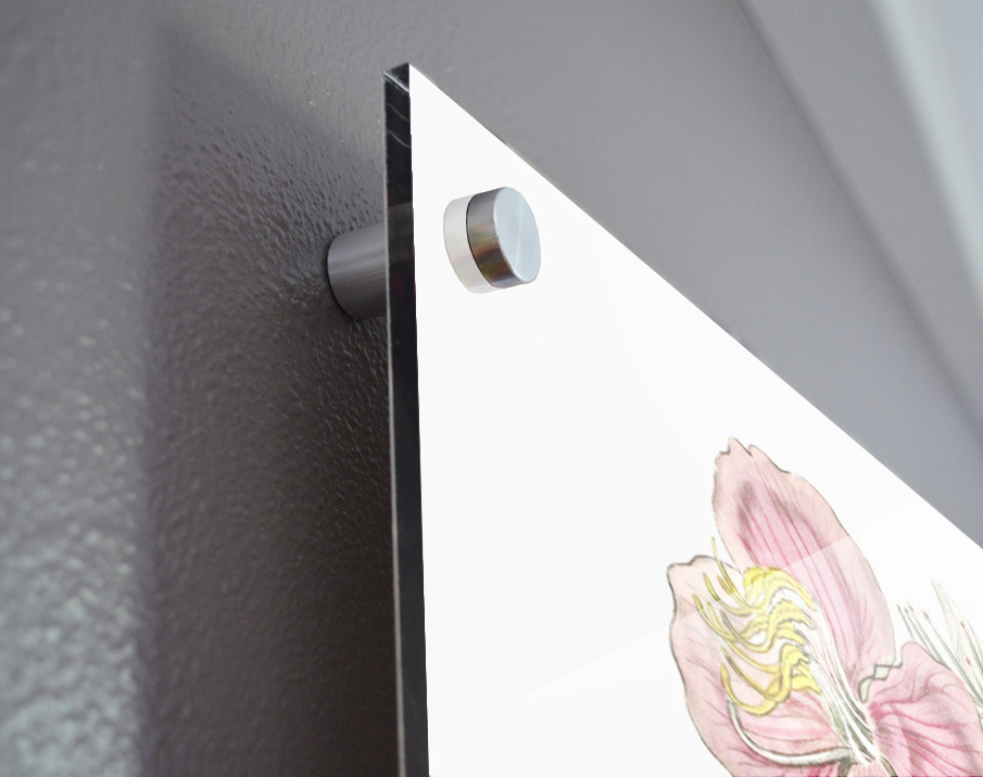 Starry osbeckia from Edwards Botanical Register 1829-1847  by Sydenham Edwards John Lindley and James Ridgway. Acrylic print of