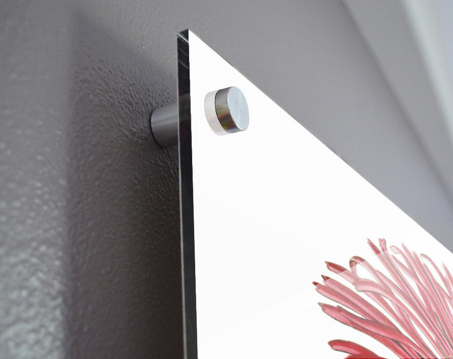 Red-Edged Fig Marigold from Edwards Botanical Register 1829-1847  by Sydenham Edwards John Lindley and James Ridgway. Acrylic print of