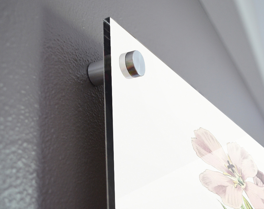 Pale Corona Amaryllis from Edwards Botanical Register 1829-1847  by Sydenham Edwards John Lindley and James Ridgway. Acrylic print of