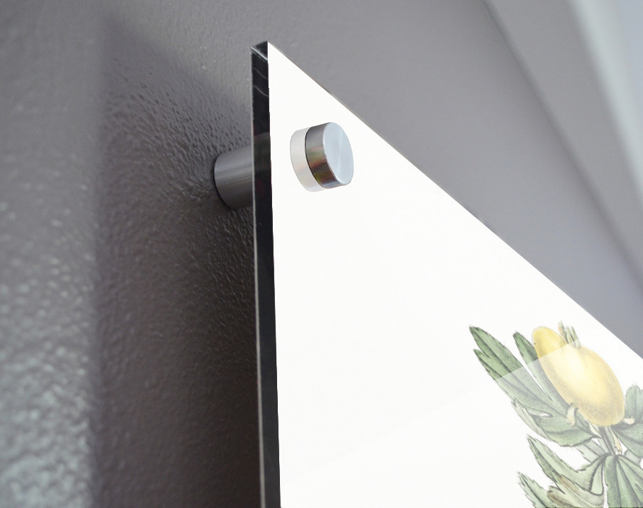 Tansy-leaved hawthorn from Edwards Botanical Register 1829-1847  by Sydenham Edwards John Lindley and James Ridgway. Acrylic print of