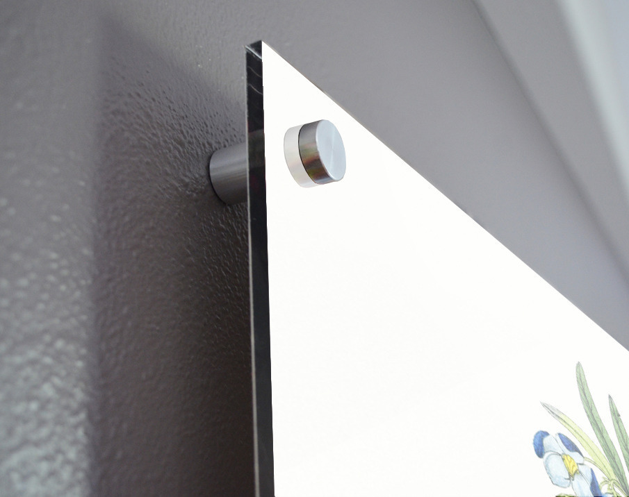 Narrow leaved sollya from Edwards Botanical Register 1829-1847  by Sydenham Edwards John Lindley and James Ridgway. Acrylic print of