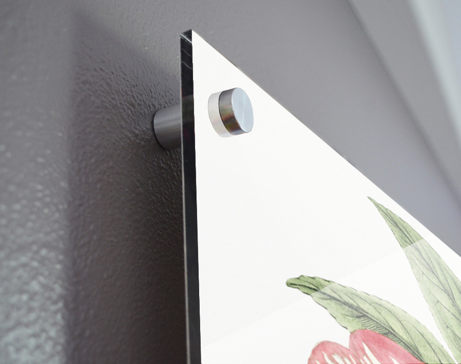 Donckelaers japan camelia from Edwards Botanical Register 1829-1847  by Sydenham Edwards John Lindley and James Ridgway. Acrylic print of