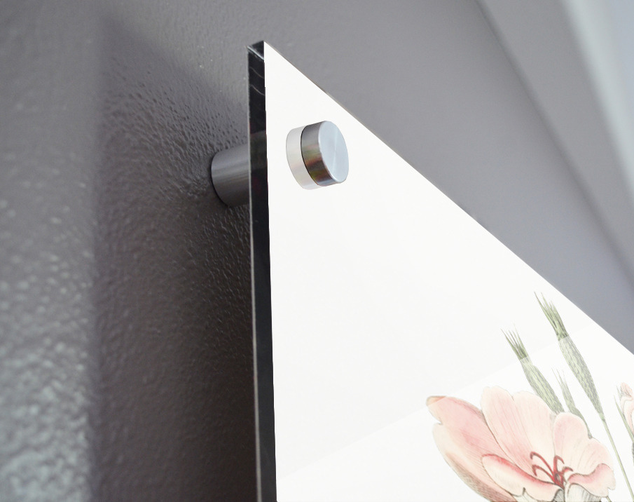 Dark-eyed viscaria from Edwards Botanical Register 1829-1847  by Sydenham Edwards John Lindley and James Ridgway. Acrylic print of