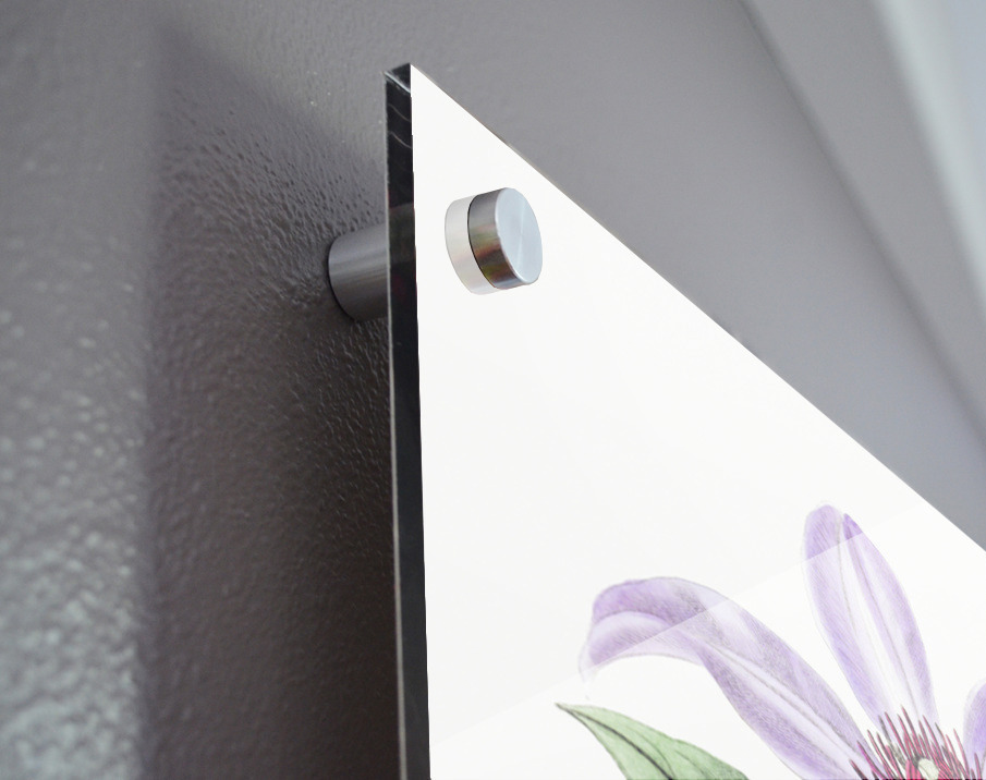 Violet clematis flower from Edwards Botanical Register 1829-1847  by Sydenham Edwards John Lindley and James Ridgway. Acrylic print of