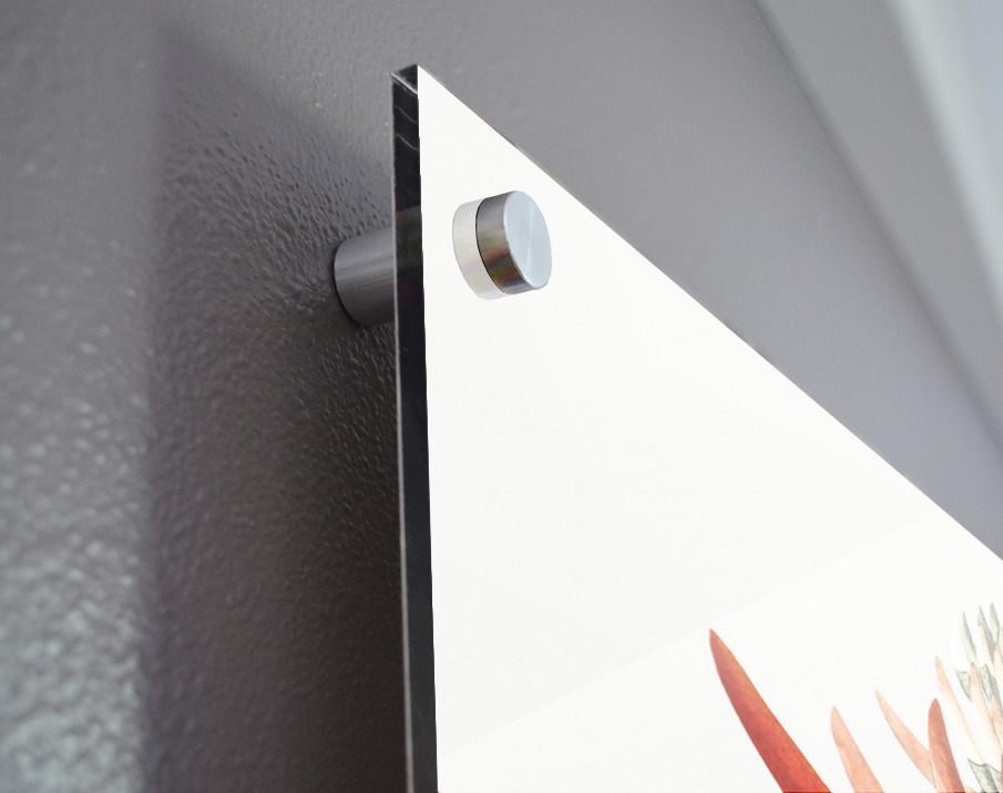 Naked-flowering Erythrina from Edwards Botanical Register 1829-1847  by Sydenham Edwards John Lindley and James Ridgway. Acrylic print of