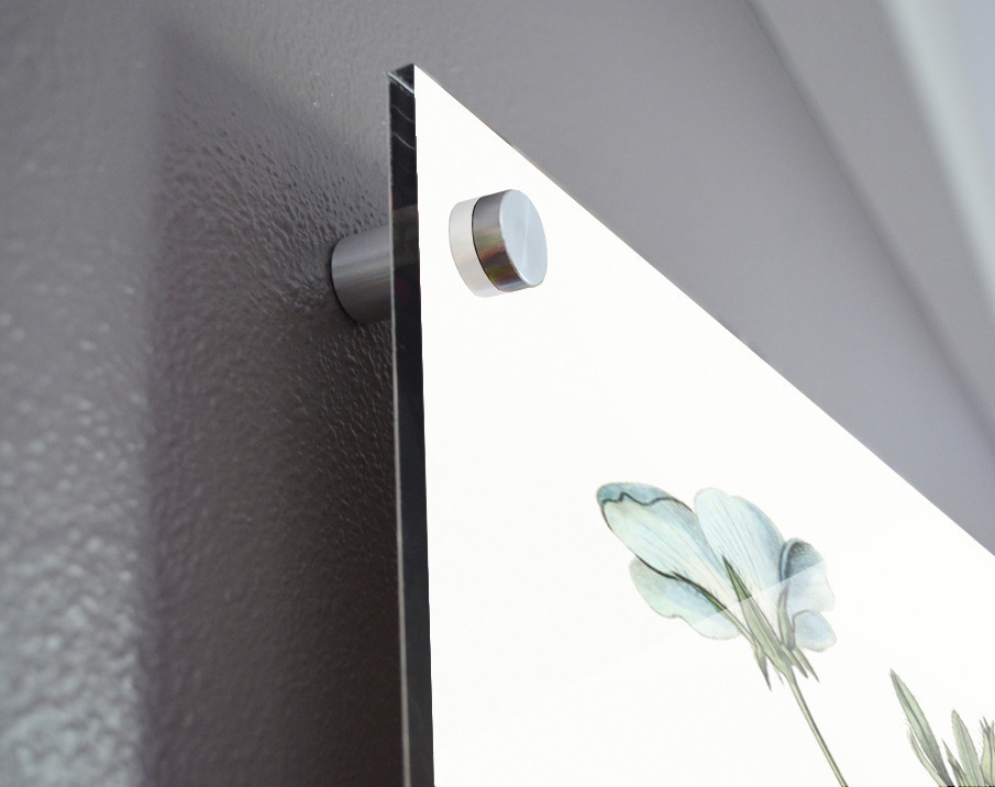 Shewy nemophila from Edwards Botanical Register 1829-1847  by Sydenham Edwards John Lindley and James Ridgway. Acrylic print of