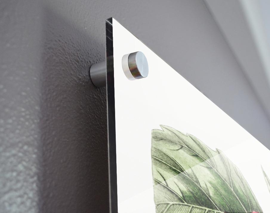 Single-flowered Chinese rose mallow from Edwards Botanical Register 1829-1847  by Sydenham Edwards John Lindley and James Ridgway. Acrylic print of