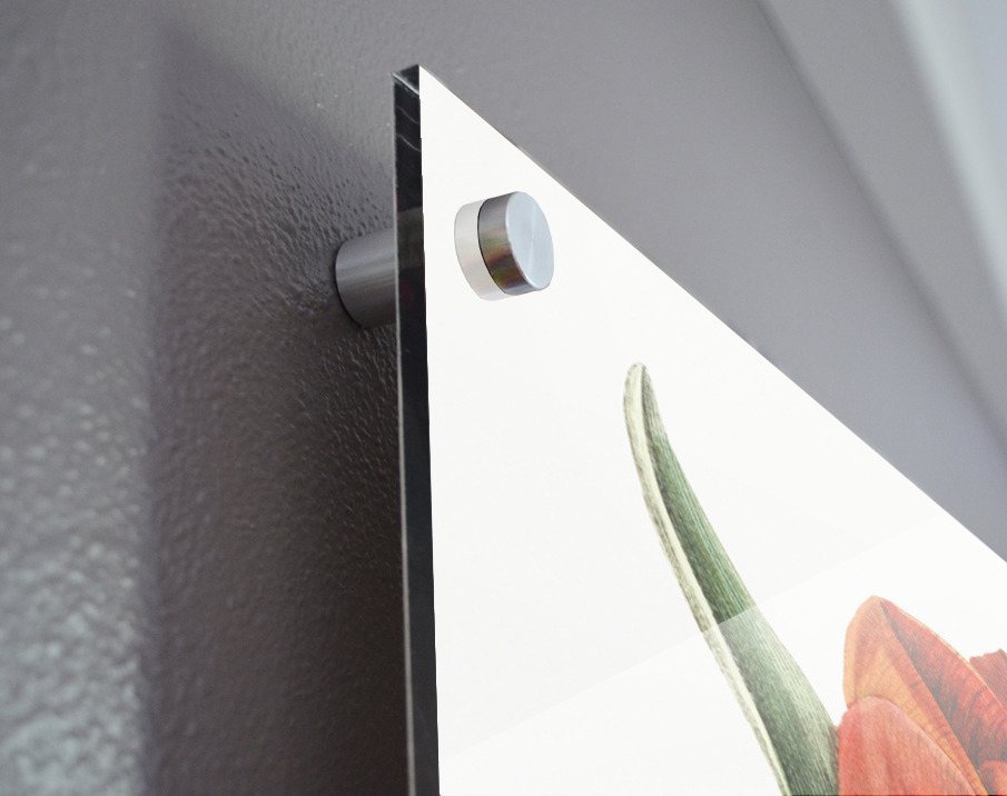 Gesners tulip from Edwards Botanical Register 1829-1847  by Sydenham Edwards John Lindley and James Ridgway. Acrylic print of