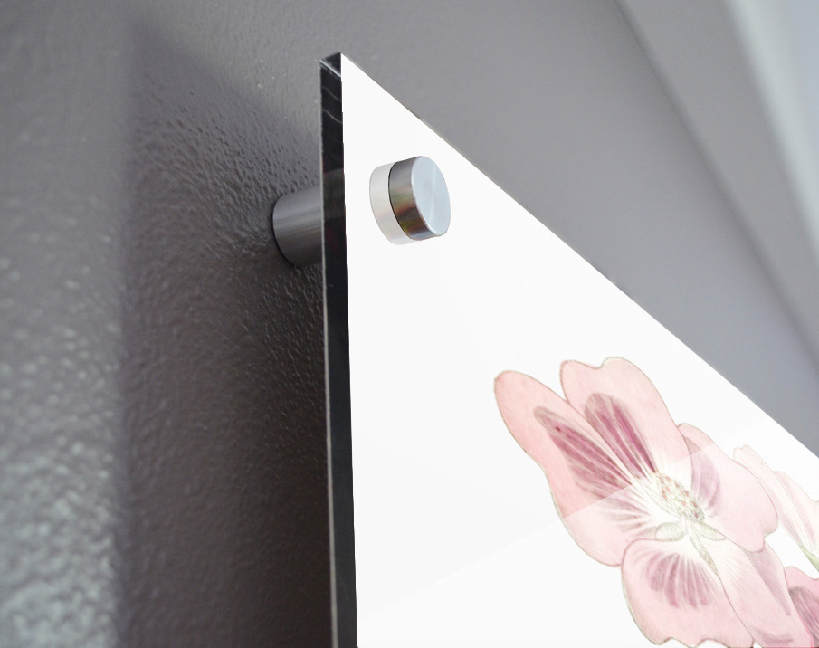 Rhomb leaved palavia from Edwards Botanical Register 1829-1847  by Sydenham Edwards John Lindley and James Ridgway. Acrylic print of