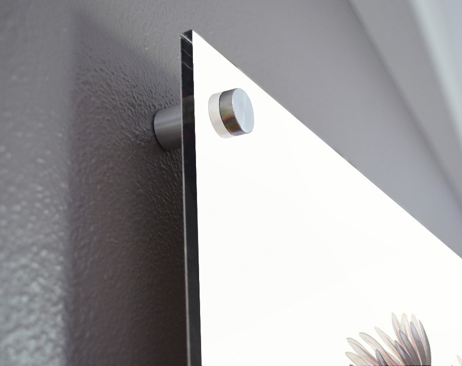 Lilac senecio from Edwards Botanical Register 1829-1847  by Sydenham Edwards John Lindley and James Ridgway. Acrylic print of