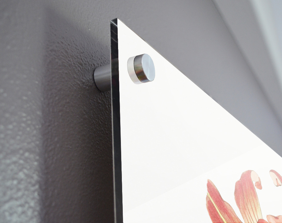 Meadow habranthus from Edwards Botanical Register 1829-1847  by Sydenham Edwards John Lindley and James Ridgway. Acrylic print of