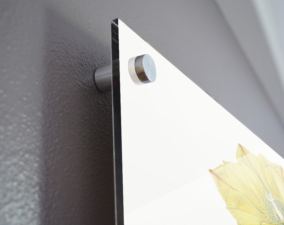 One spined opuntia from Edwards Botanical Register 1829-1847  by Sydenham Edwards John Lindley and James Ridgway. Acrylic print of