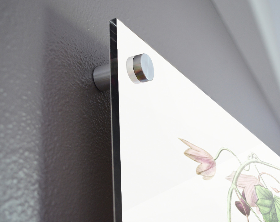 Twinning red-cloak from Edwards Botanical Register 1829-1847  by Sydenham Edwards John Lindley and James Ridgway. Acrylic print of