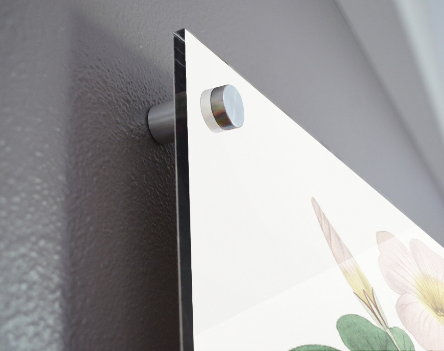 Variable oxalis from Edwards Botanical Register 1829-1847  by Sydenham Edwards John Lindley and James Ridgway. Acrylic print of