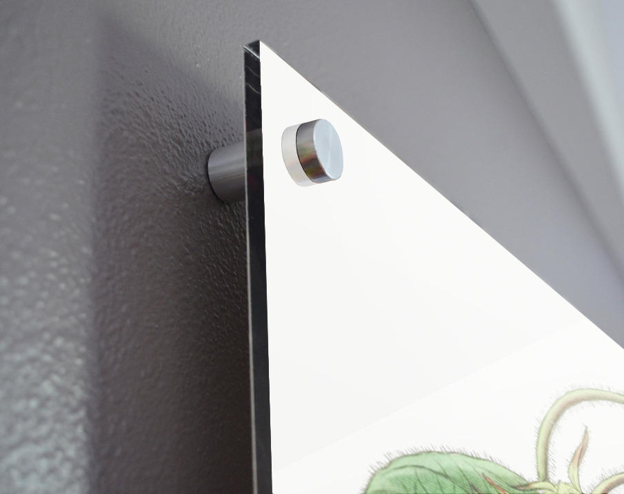 Mr.Aitons ipomoea from Edwards Botanical Register 1829-1847  by Sydenham Edwards John Lindley and James Ridgway. Acrylic print of