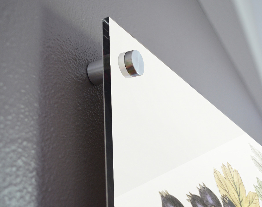 Broad-leaved thorn from Edwards Botanical Register 1829-1847  by Sydenham Edwards John Lindley and James Ridgway. Acrylic print of