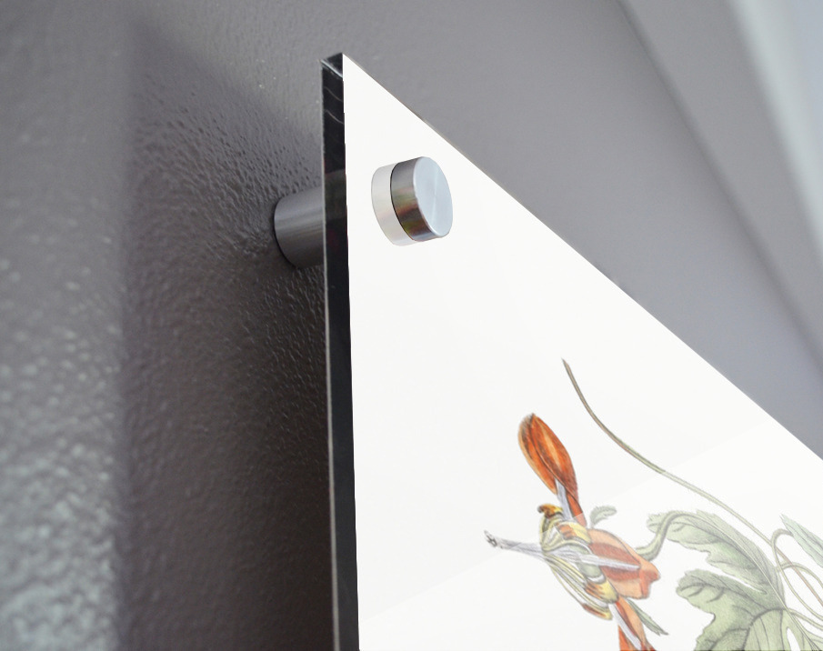 Red loasa from Edwards Botanical Register 1829-1847  by Sydenham Edwards John Lindley and James Ridgway. Acrylic print of