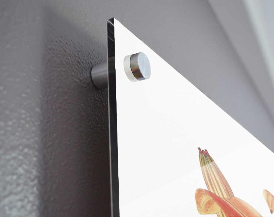 Thunbergs orange lily from Edwards Botanical Register 1829-1847  by Sydenham Edwards John Lindley and James Ridgway. Acrylic print of