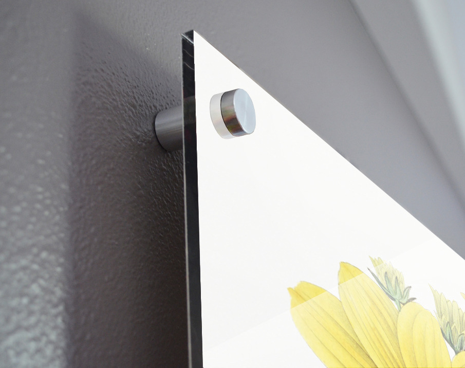 Golden coreopsis from Edwards Botanical Register 1829-1847  by Sydenham Edwards John Lindley and James Ridgway. Acrylic print of