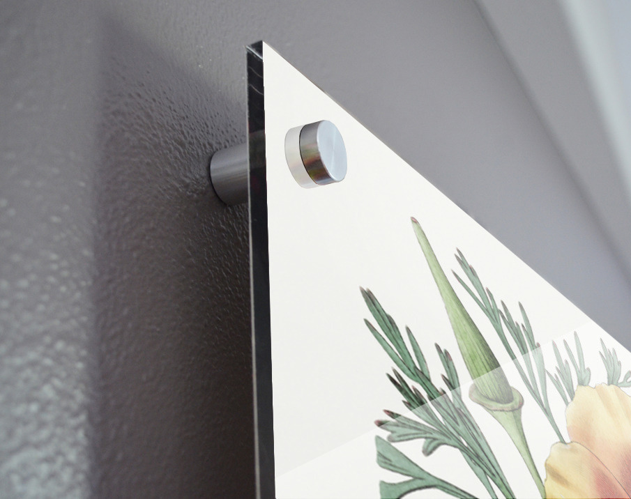 Saffron colored eschscholzia from Edwards Botanical Register 1829-1847  by Sydenham Edwards John Lindley and James Ridgway. Acrylic print of