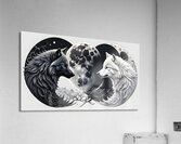 White Wolf Black Wolf Moon By ISHISH Acrylic Print