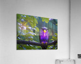 A  Amethyst Glass Eagle By ISHISH Acrylic Print