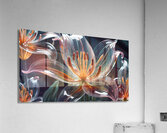 Transparent Majestic Glass Lily Flower By ISHISH Acrylic Print
