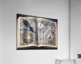 Fabled Bird Book By ISHISH Acrylic Print
