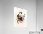 Cicinnurus regius 1873 Acrylic Print