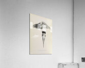 Pholidophalus casuarinus 1882 Acrylic Print