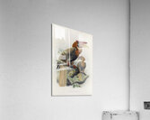 Hydrocorax mindanensis 1882 Acrylic Print