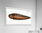 Pleuronectes bilineatus Acrylic Print