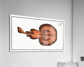 Cramp-Fish Raja Torpedo Acrylic Print