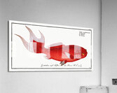 Telescope Cyprinus macrophthalmus Acrylic Print