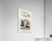 Beaver Castor and Jerboa Dipus Acrylic Print