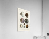 ictionnaire Universel D histoire Naturelle D Orbi 1694477462.2014 Acrylic Print