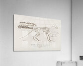 Ungulate Anoplotherium Acrylic Print