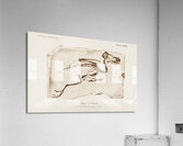 Kingfisher Alcedo Acrylic Print